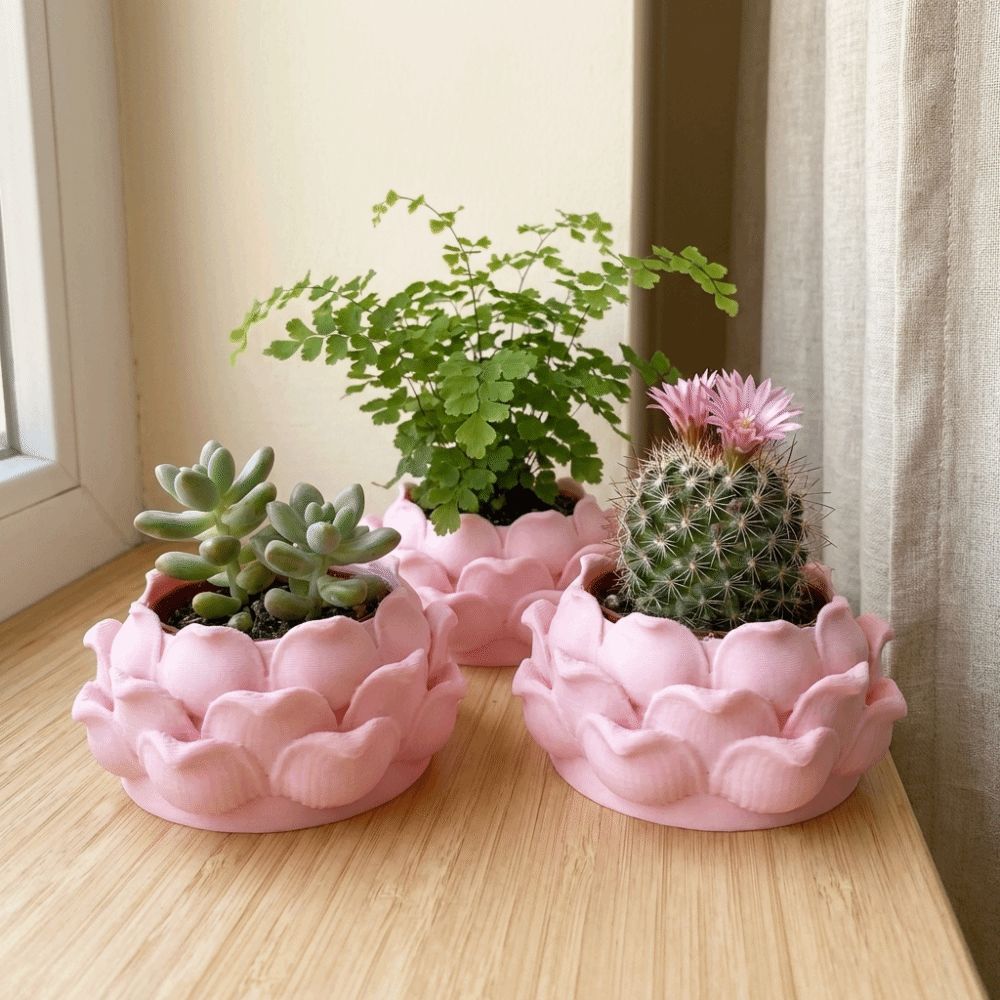 연꽃 모양 다육 식물 화분 3D 프린팅 플라스틱 묘목  - Rattan Plant Basket 리뷰 및 가격